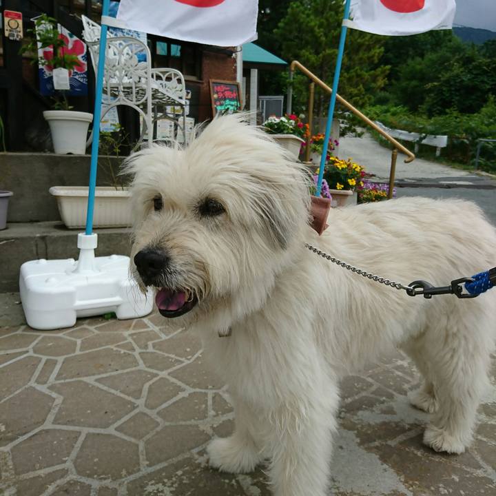 4ebad2c0 002b 43d4 af5f 8aa12d6afe65