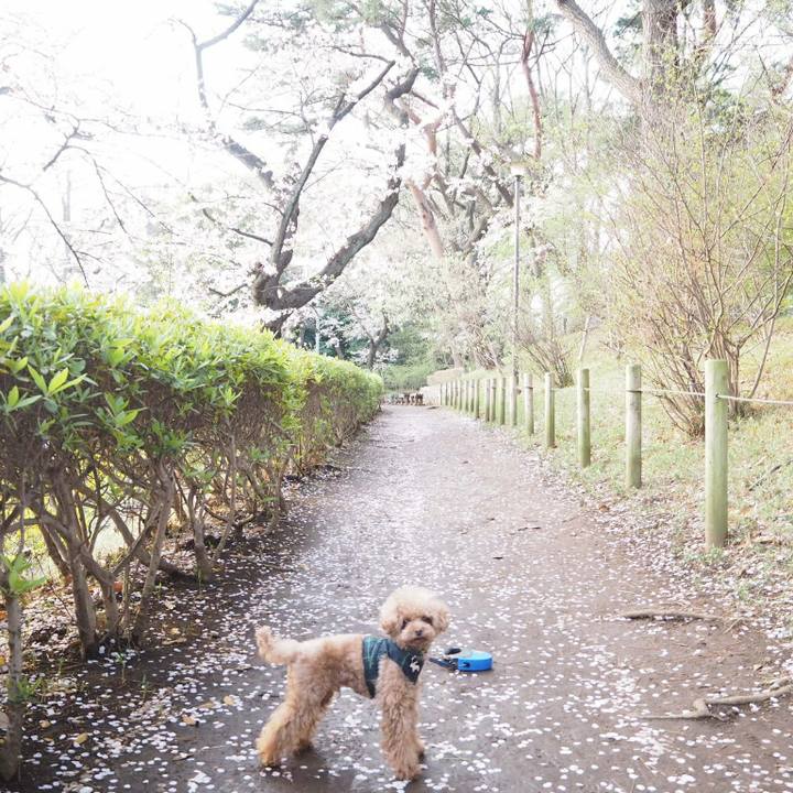 4ebae5e6 122d 4e90 8c12 a3deab9885d1