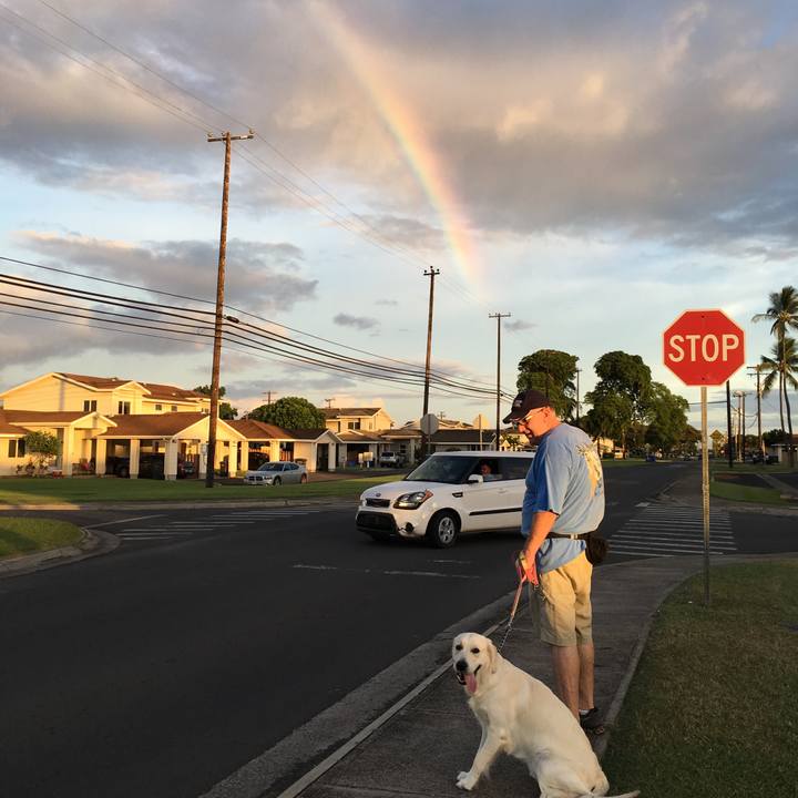 4ebae8fd 1008 42b4 aa35 fbeb9d98ee26