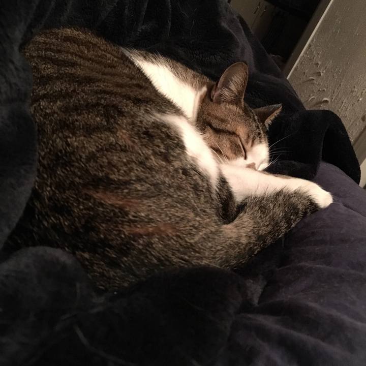 4ebbd517 438b 4761 8da3 6ebd51bfc05e