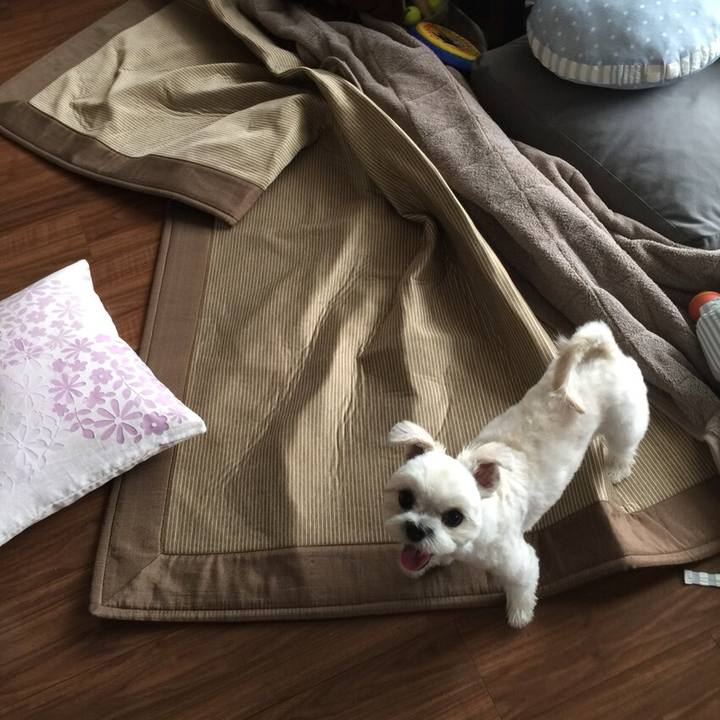 4ebce845 a791 42aa a305 fa9d0fac635b