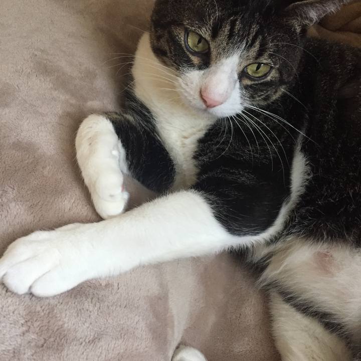 4ebcec32 c30f 4274 8ac2 ac8c84eadd64