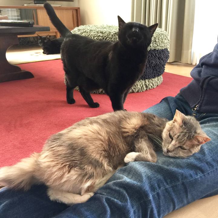 4ebd533c c868 4891 8a29 03ec1b0443be