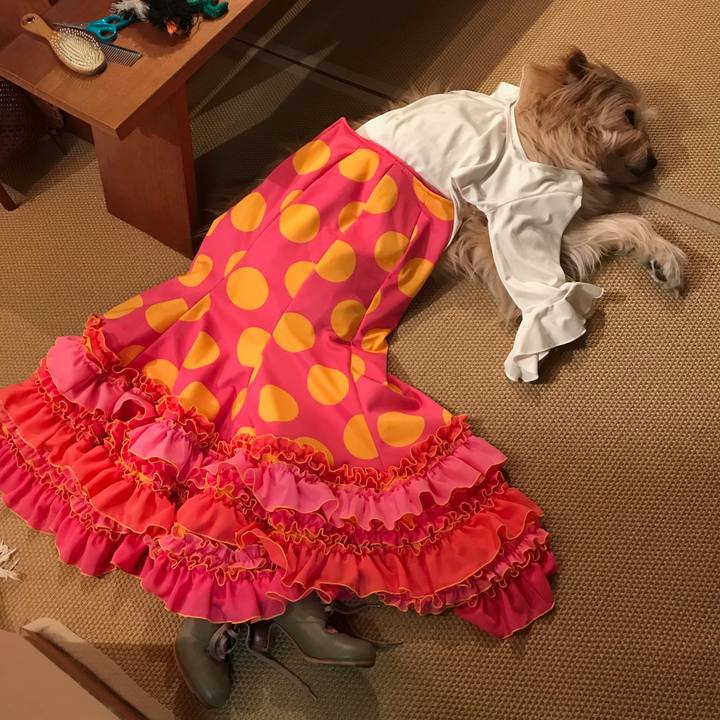 4ebd6ec4 e019 4fc0 a0bb a0cd9e84280d