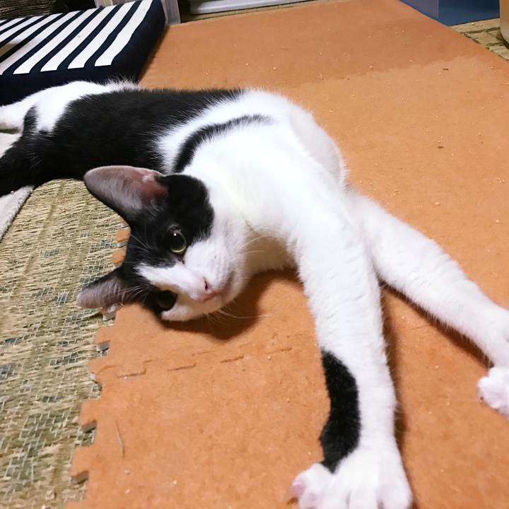 4ebd8c99 2cdd 4ad0 88be 7f38e8c4bd98