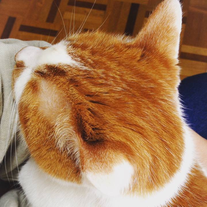 4ebda1b4 807c 43da 9b62 c94d681987d4