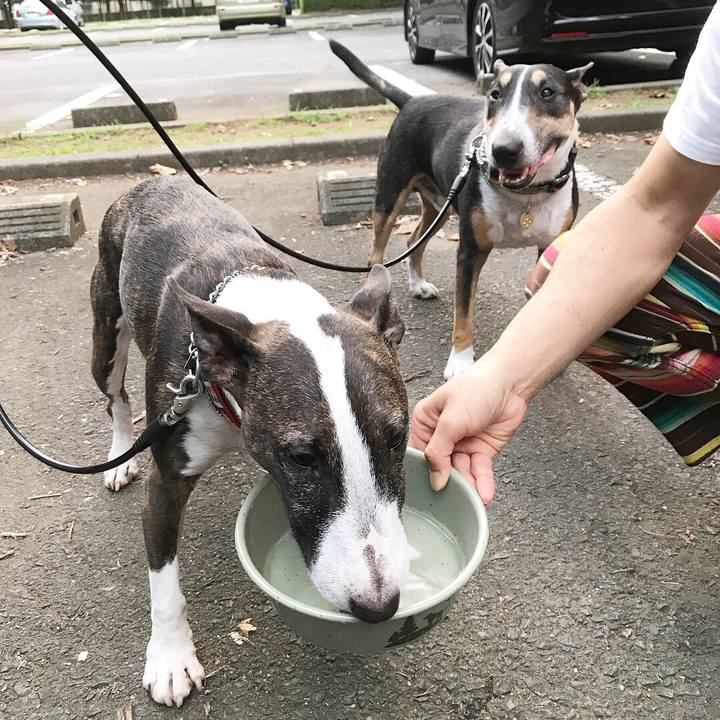 4ebe1375 97d1 441d b360 be615871b2e9