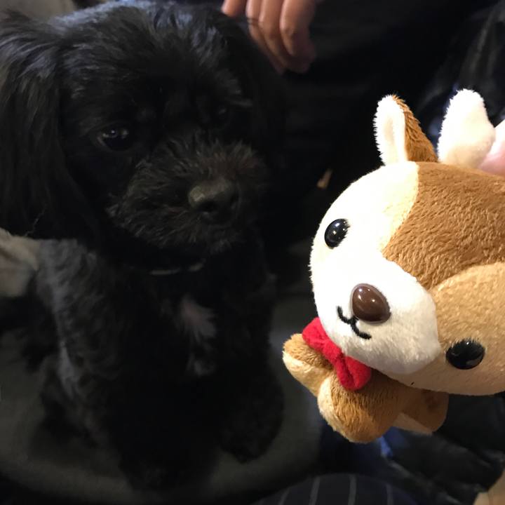 4ebf8de8 c4ed 4143 8a9b eac2c5057a43