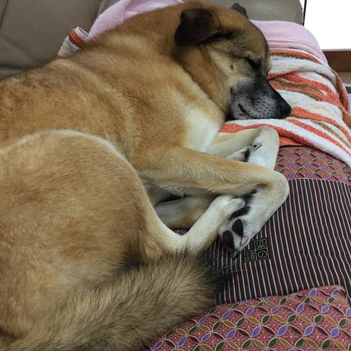 4ebfa938 b05b 4d23 ac16 082d0e5d3aec