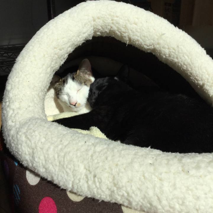 4ebfae0c b693 497c 8412 3a2ed5916451