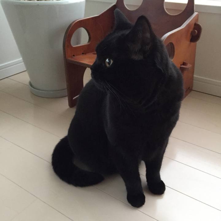 4ec0f540 ef2a 43a4 b6dc 3b55617aea98