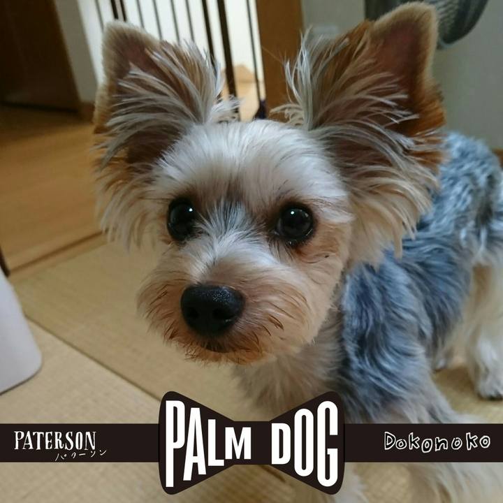 4ec12ab0 3093 418d 840d b0ac6706588d