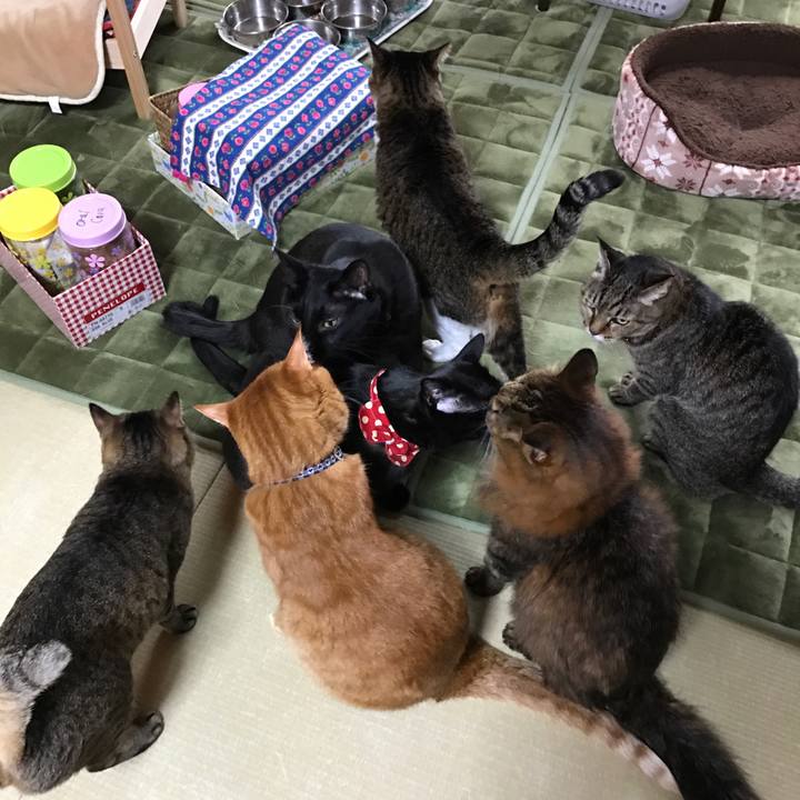 4ec15ec1 9018 4ed0 b8d1 927d82f6f878