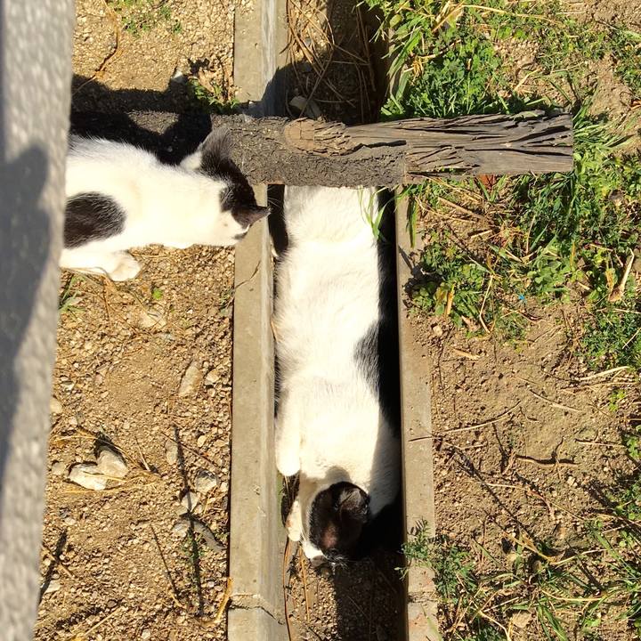 4ec1e1c4 dfab 402b b6f2 b15226b99f25