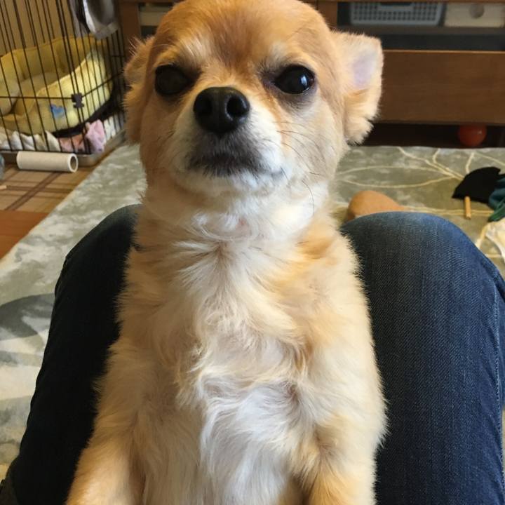 4ec26638 d8bd 4495 8660 d637f686b927