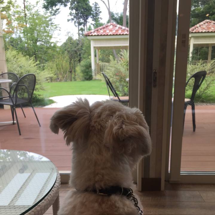 4ec2c8d7 f61f 4335 8e75 d77aabbc948c