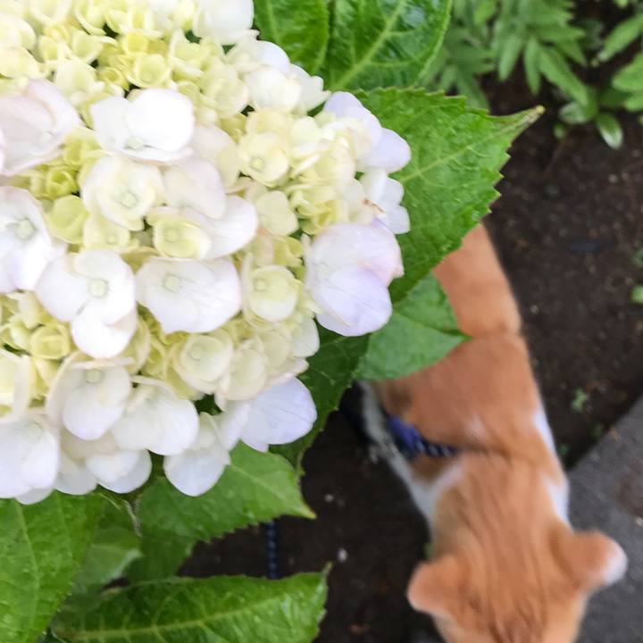 4ec30479 ee86 495a 9fe1 0df5968808fe