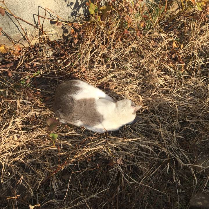 4ec32896 2b75 4f95 81a6 f014c3438637