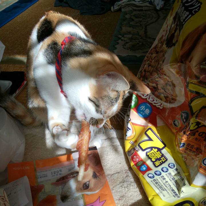 4ec476b3 6775 4a29 aeab 8329487607c4