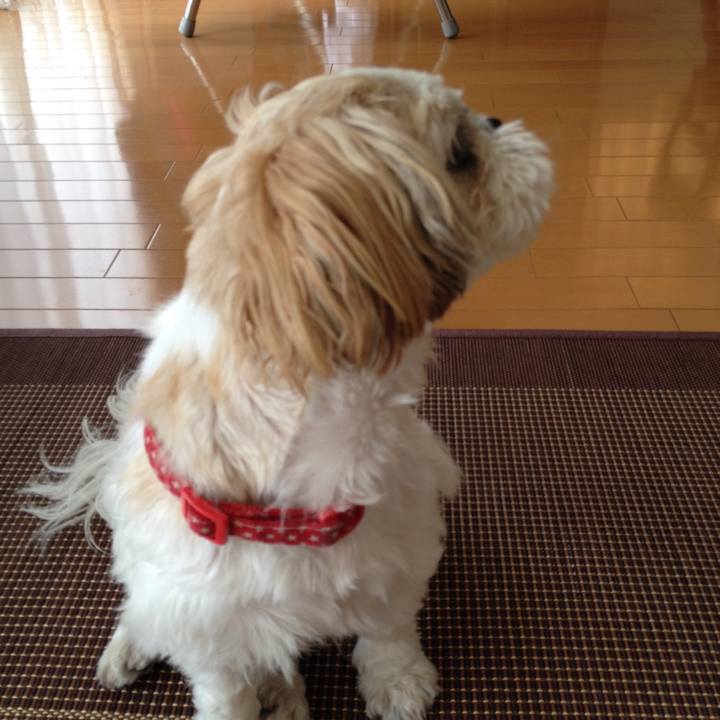 4ec4a59a 0a69 4307 b826 357f4b68c122