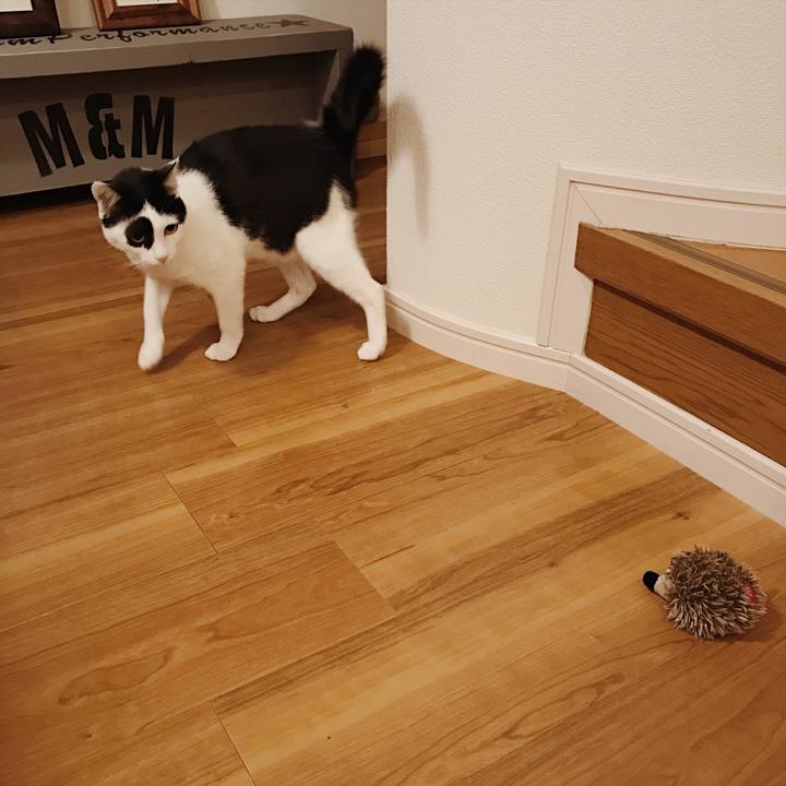 4ec4b32d a9fa 44cf bfe5 6f396be684d1