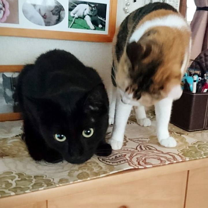 4ec5928c 23b4 4830 829f af457b3001cf