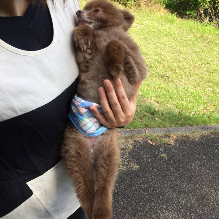 4ec61d64 0ecc 4a72 b260 e0bd9f654965