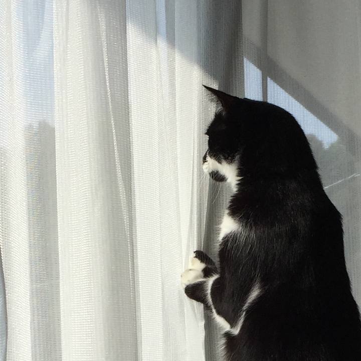 4ec667fd a5c5 44bb 87ef 11286c2ec006