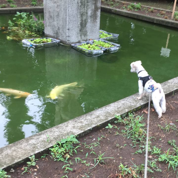 4ec6f049 deaa 41bd 9fb7 d82f7a54e608