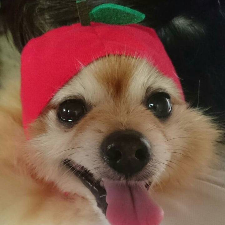 4ec7114b a591 4c95 b374 b7ef81794d0e