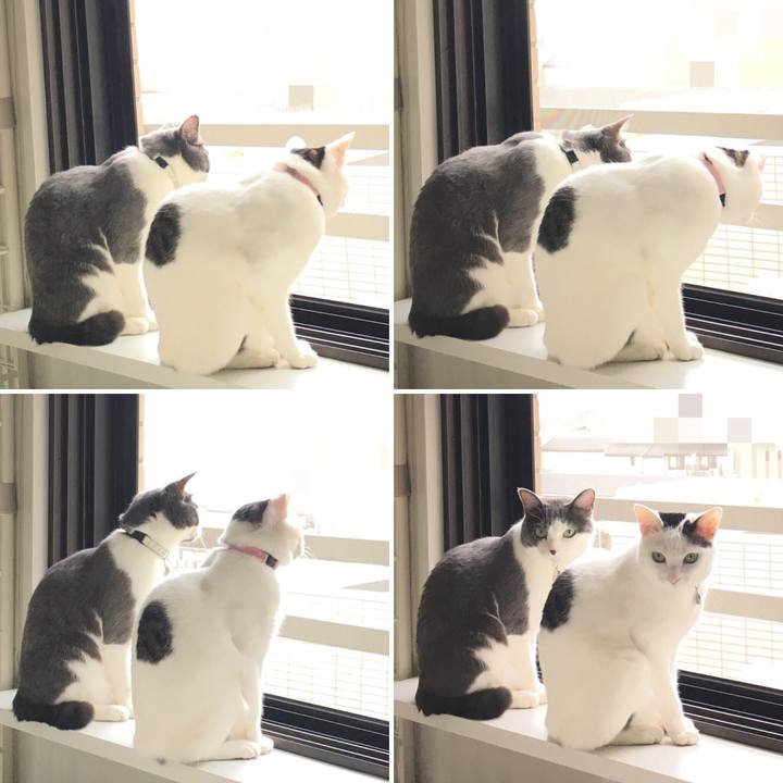 4ec75ab7 5fc3 48f5 8450 d99a070231af