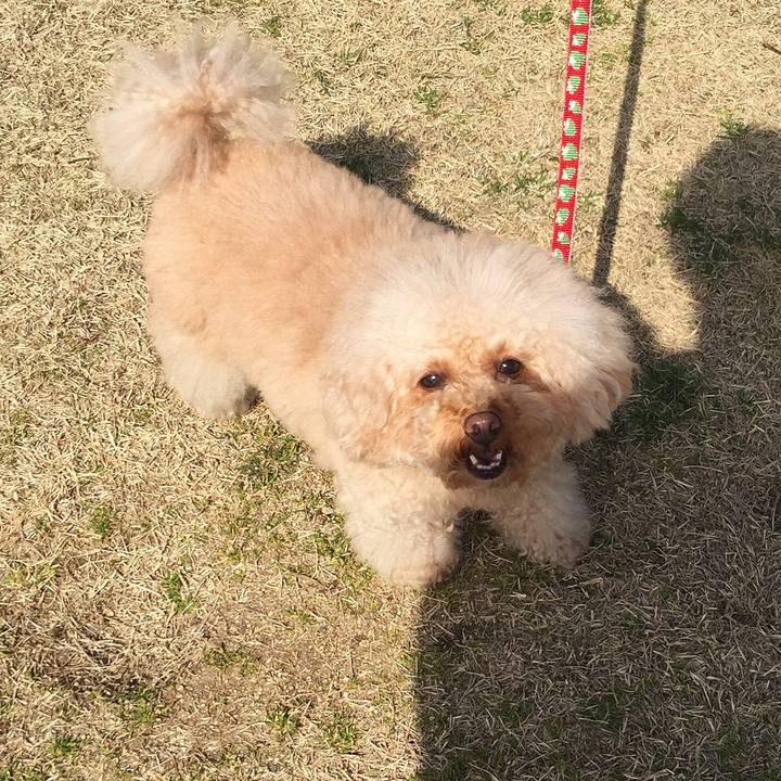 4ec785f3 d68c 4faa 8e73 b9616325991a