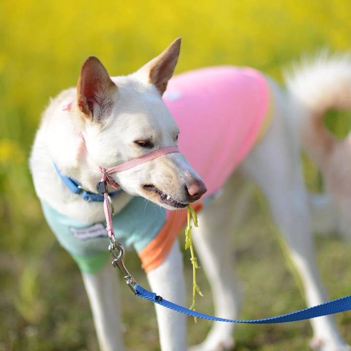 4ec7b063 6090 4fab bef7 3e074898be4c