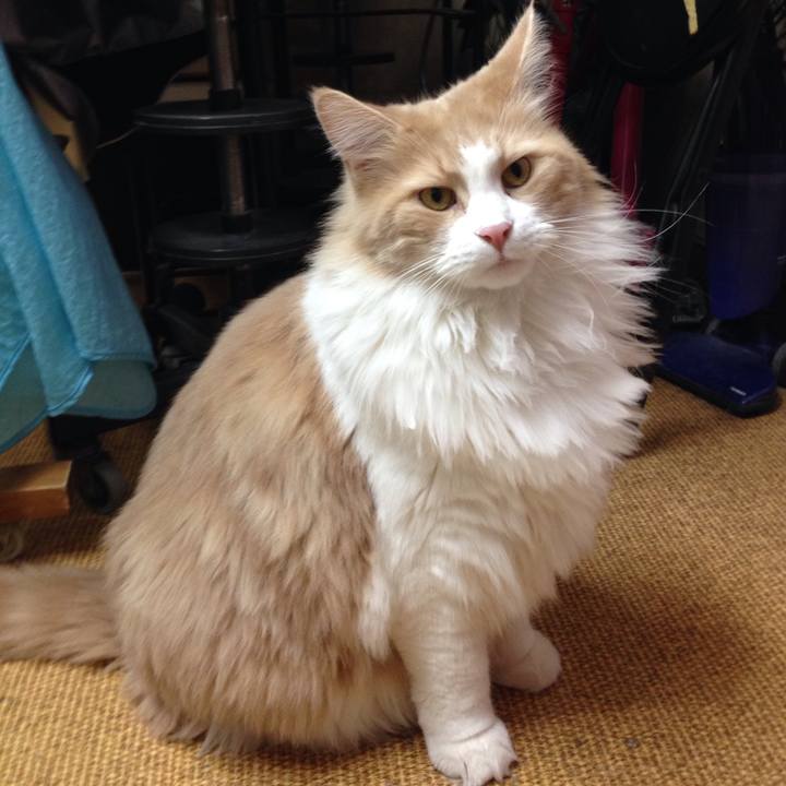 4ec81ae6 7eee 4f84 b12a 6f542d04ca3d