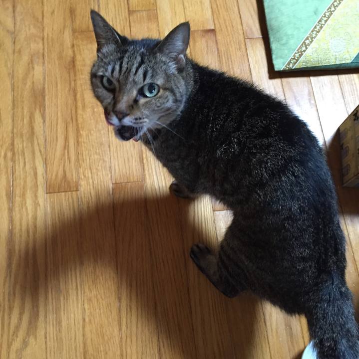 4ec86695 1e24 463e 87e2 5549c792fa11