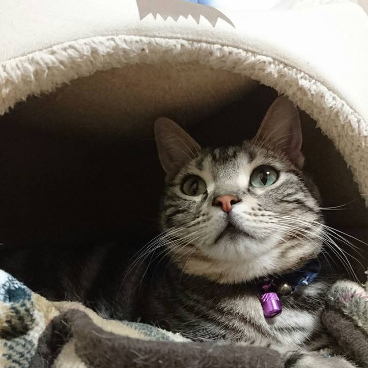 4ec884b9 06b1 4eae 877b 7701fb437550