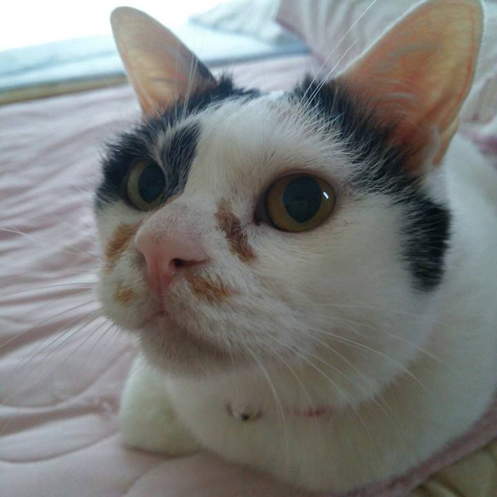 4ec987bd 273b 43ab 906d e1fa3b3017c5