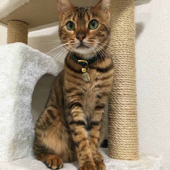 4eca88c7 12a5 4c18 ba8a 5b626180c3f1