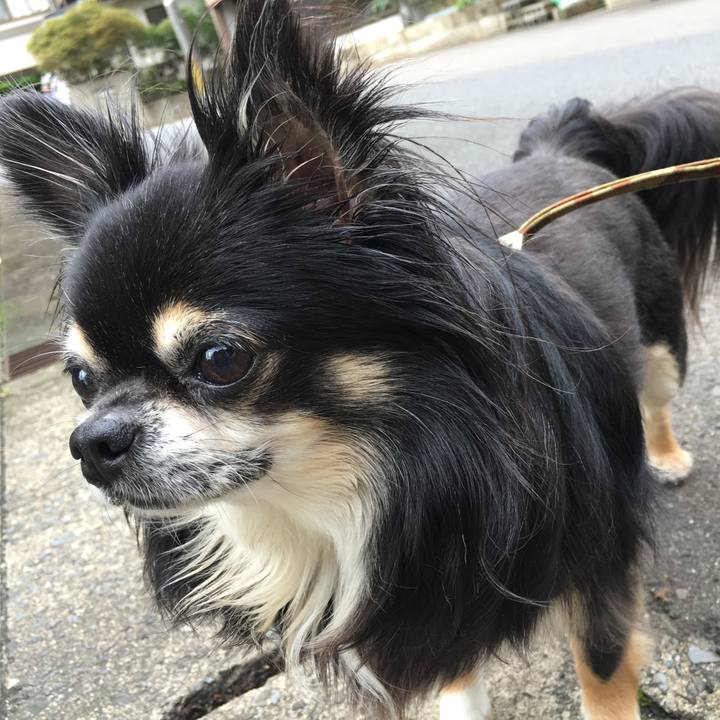 4ecada1b 6826 4877 b850 41fabd2f9e53