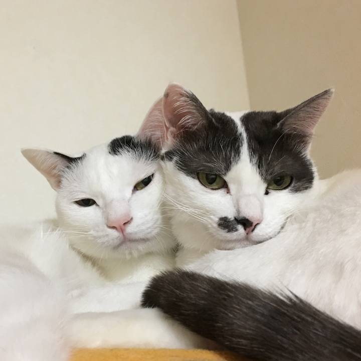 4ecaf066 6c28 4659 80c1 aa414bc32392