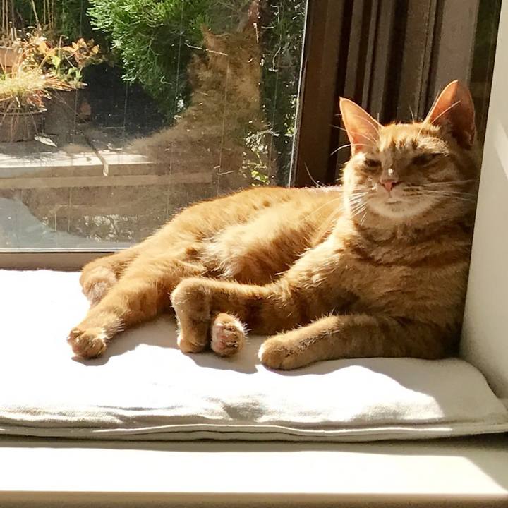 4ecb1896 c9bd 4a14 b015 c1c46bcf3829