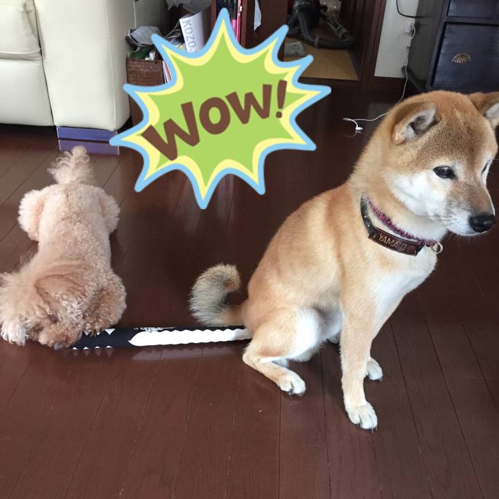 4ecb1a5b 20df 4b42 81e3 8ac820ec5c04