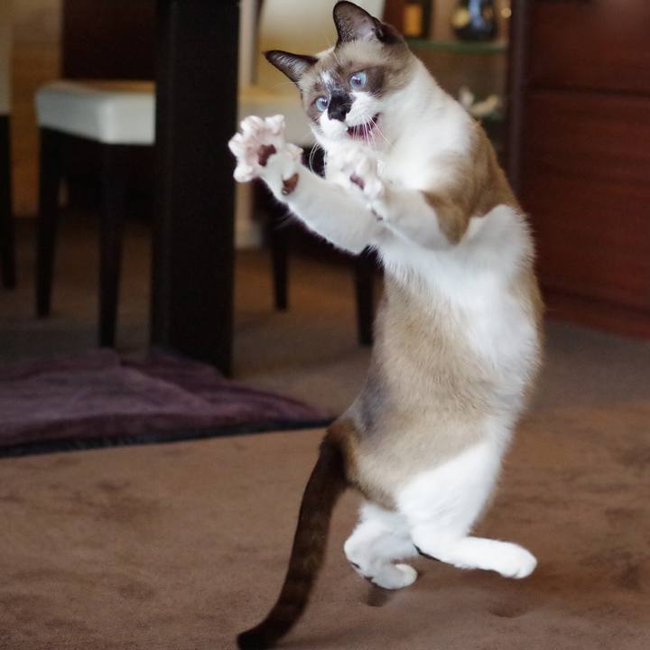 4ecb5700 2f08 4e4c 81fe dd5667d787f2