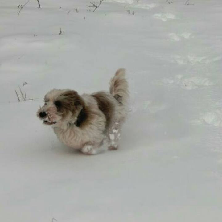 4ecc35cc 0d77 4a55 8a25 fee204e9c9e0