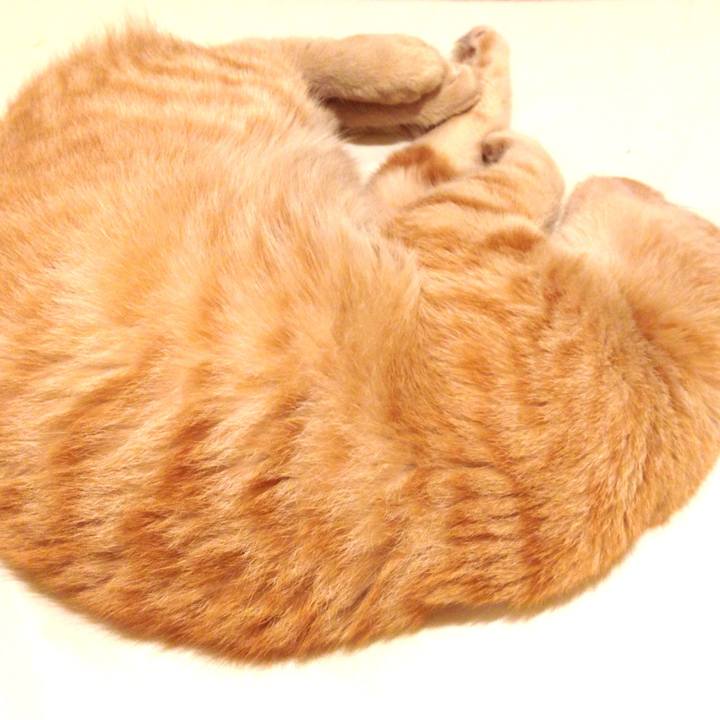 4ecd2dc1 cdf2 4635 8a01 f97669a5952b