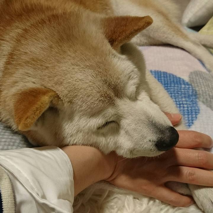 4ecd4acf eed1 4859 a183 66d6427be812