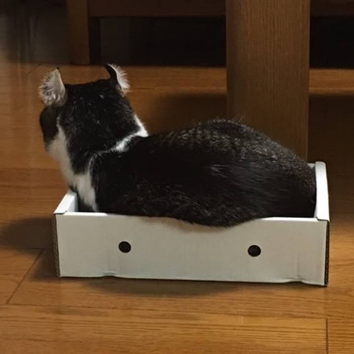 4ecdaa30 e428 45fe b6b6 97a242136644