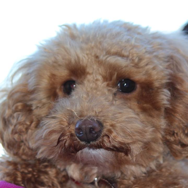 4ece0786 b59b 4150 93ab 0a43814f56bd