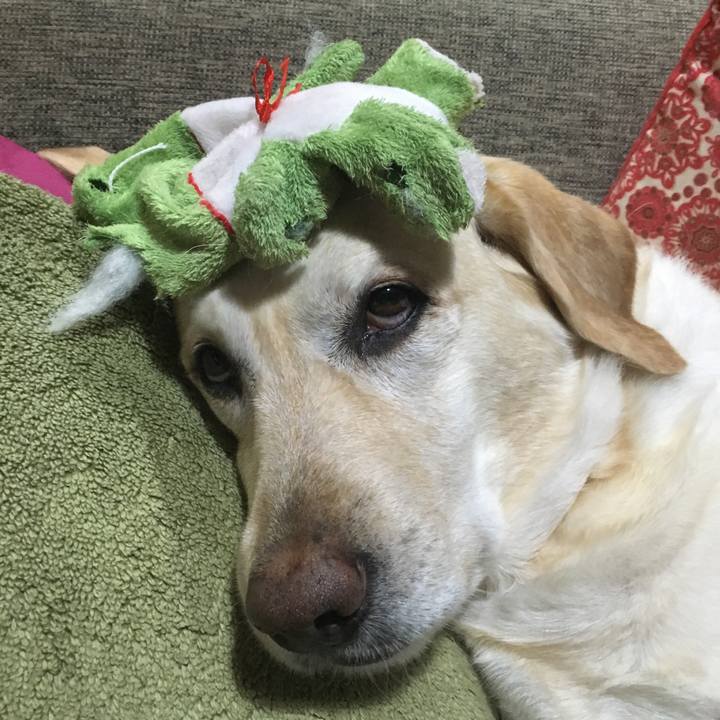 4ece65e3 b6b0 42c9 94f7 36e5afc0d30b