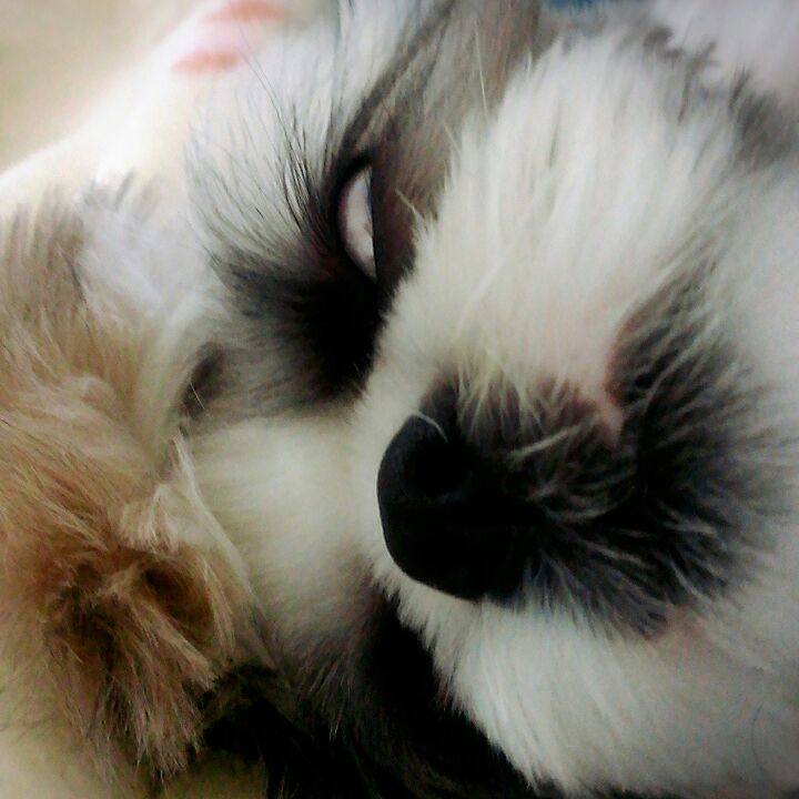 4ece8ae3 f3da 40af b41a 0dde0fb9016c